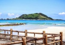 Tất tần tật kinh nghiệm du lịch đảo Udo Hàn Quốc