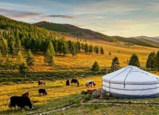 Cảnh quan tuyệt đẹp tại vườn quốc gia núi Khan Khentii Mông Cổ