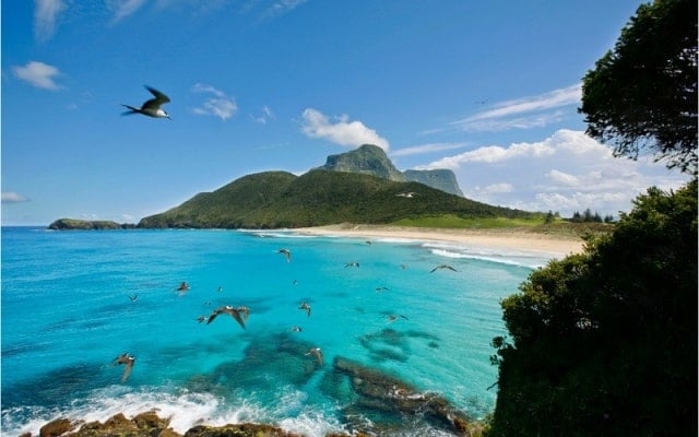 Du lịch đảo Lord Howe - thiên đường nguyên sơ nổi tiếng tại Úc